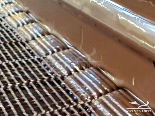 Coating & Chocolate conveyor belt by YIYI Mesh Belt