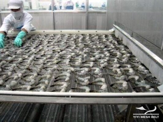 Food product loaded on a stainless steel conveyor belt in a freezing application