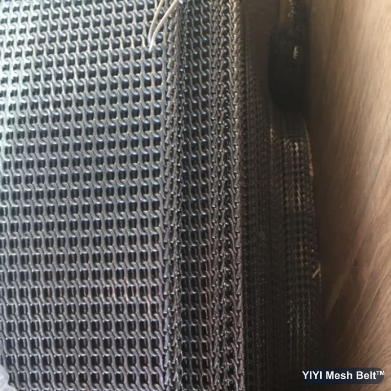 Edge view of a Biscuit Belt section
