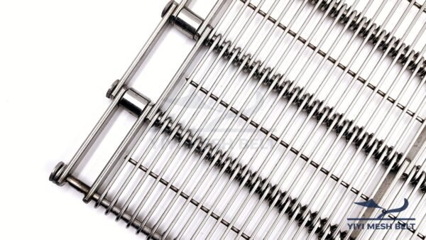 Eye Link Belt – YIYI Mesh Belt